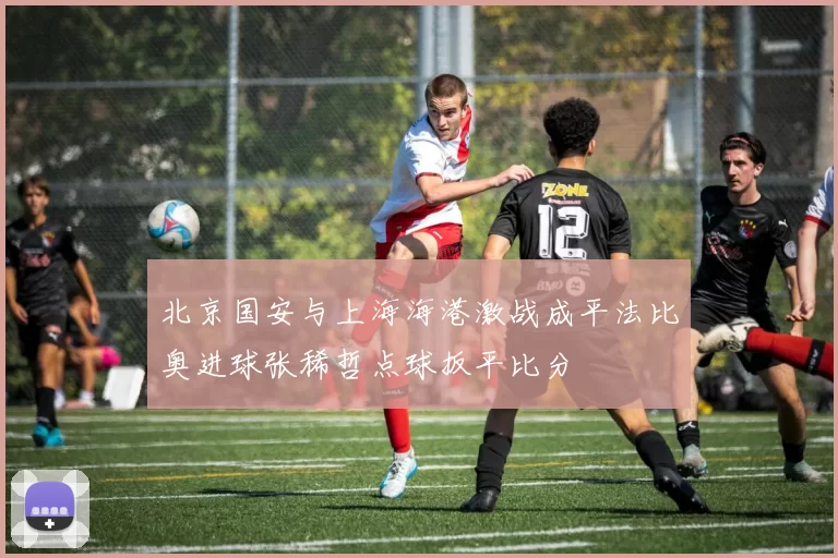 北京国安与上海海港激战成平法比奥进球张稀哲点球扳平比分